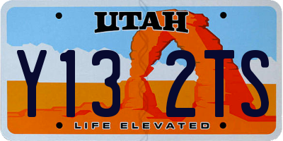 UT license plate Y132TS