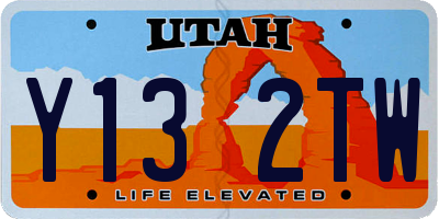 UT license plate Y132TW