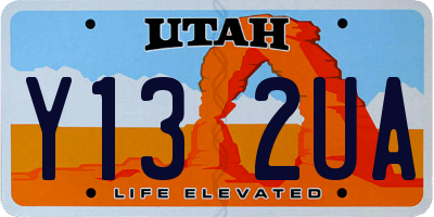 UT license plate Y132UA