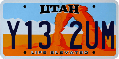 UT license plate Y132UM