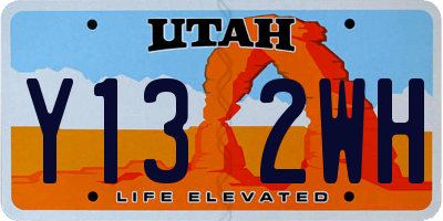 UT license plate Y132WH