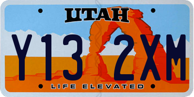 UT license plate Y132XM