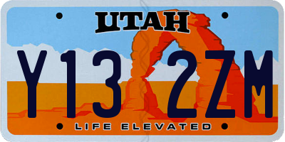 UT license plate Y132ZM