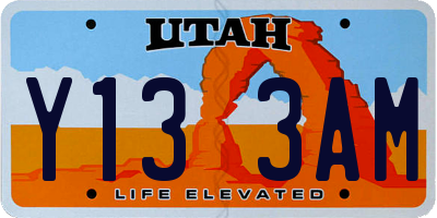 UT license plate Y133AM