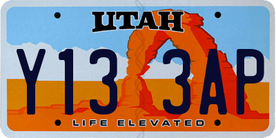 UT license plate Y133AP