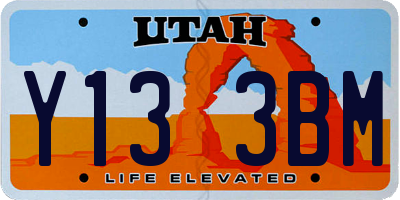 UT license plate Y133BM
