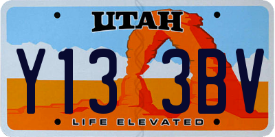 UT license plate Y133BV