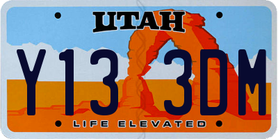 UT license plate Y133DM