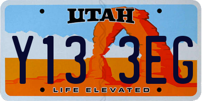 UT license plate Y133EG