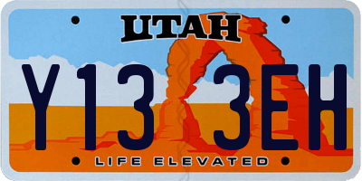 UT license plate Y133EH