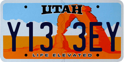 UT license plate Y133EY