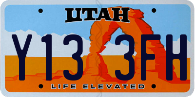 UT license plate Y133FH