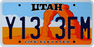 UT license plate Y133FM