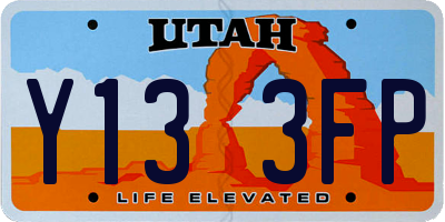 UT license plate Y133FP