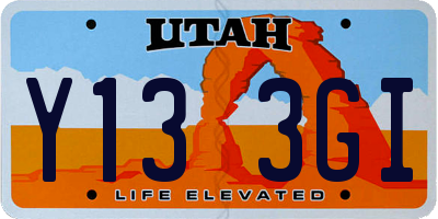 UT license plate Y133GI