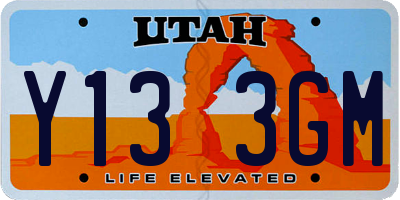 UT license plate Y133GM