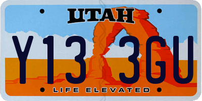 UT license plate Y133GU