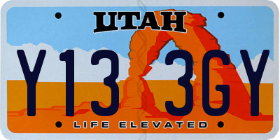 UT license plate Y133GY