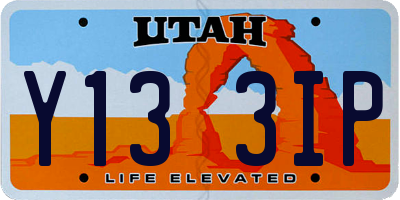 UT license plate Y133IP
