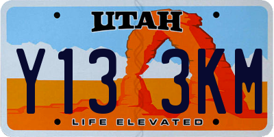 UT license plate Y133KM