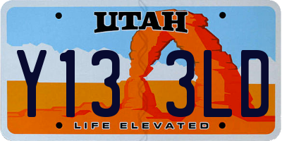 UT license plate Y133LD