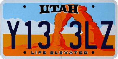 UT license plate Y133LZ