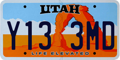 UT license plate Y133MD