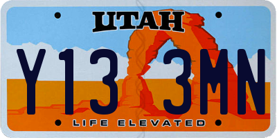 UT license plate Y133MN