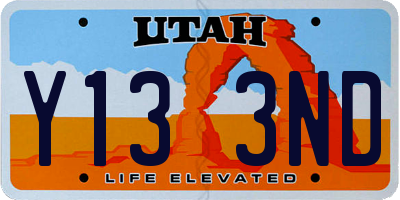 UT license plate Y133ND
