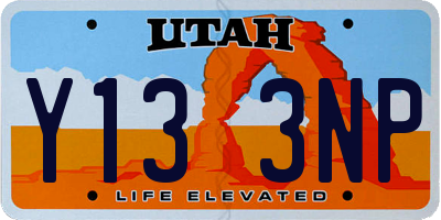 UT license plate Y133NP