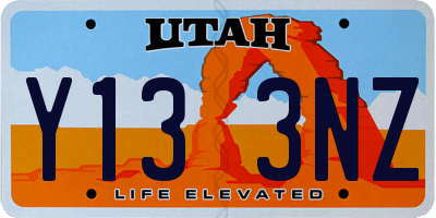 UT license plate Y133NZ