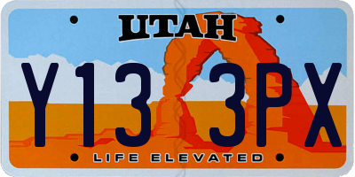 UT license plate Y133PX