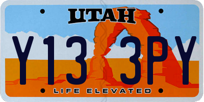 UT license plate Y133PY