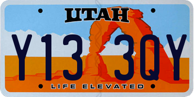 UT license plate Y133QY