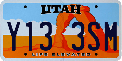 UT license plate Y133SM