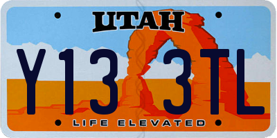 UT license plate Y133TL