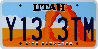 UT license plate Y133TM