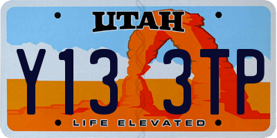 UT license plate Y133TP