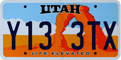 UT license plate Y133TX