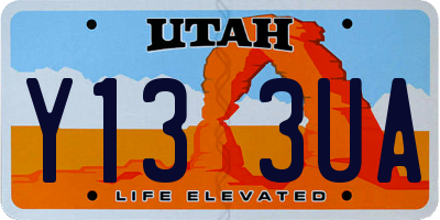 UT license plate Y133UA