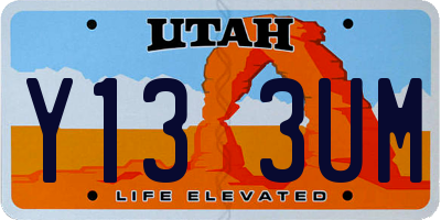 UT license plate Y133UM