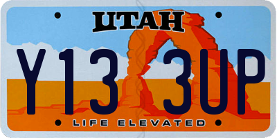 UT license plate Y133UP