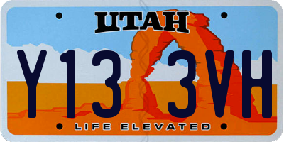 UT license plate Y133VH