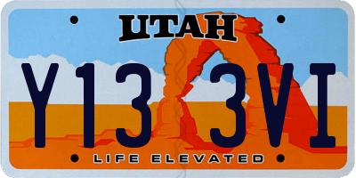 UT license plate Y133VI