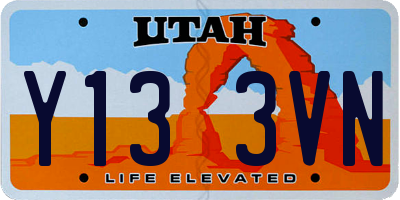 UT license plate Y133VN