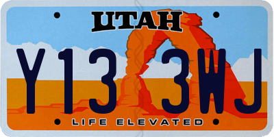 UT license plate Y133WJ