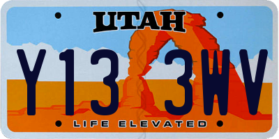 UT license plate Y133WV