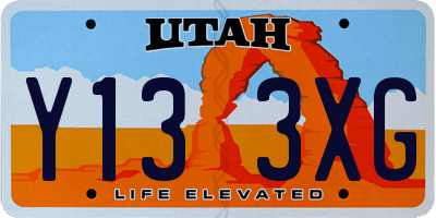 UT license plate Y133XG