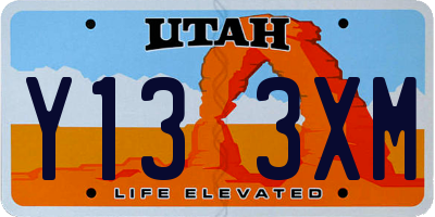 UT license plate Y133XM