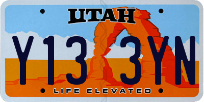 UT license plate Y133YN